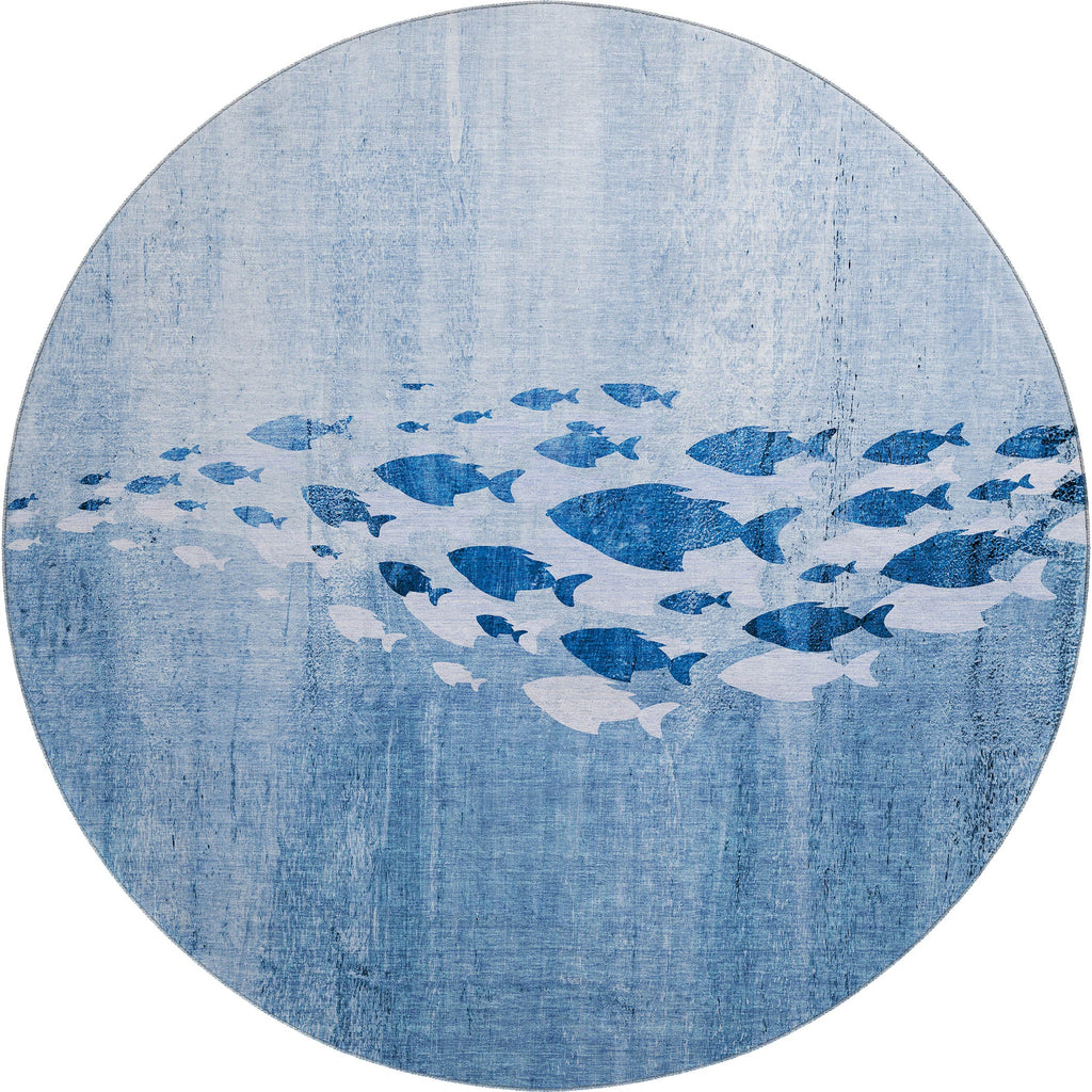 addison mayfield amf627 blue rug