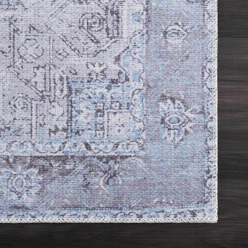 Hauteloom Rosman SAMAROSMA50 Sky Blue Machine Made Chenille-Polyester Rug