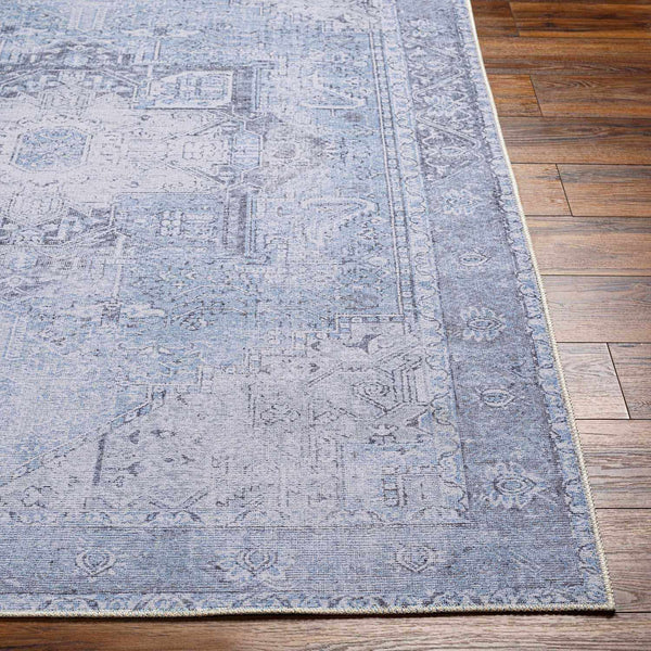 Hauteloom Rosman SAMAROSMA50 Sky Blue Machine Made Chenille-Polyester Rug