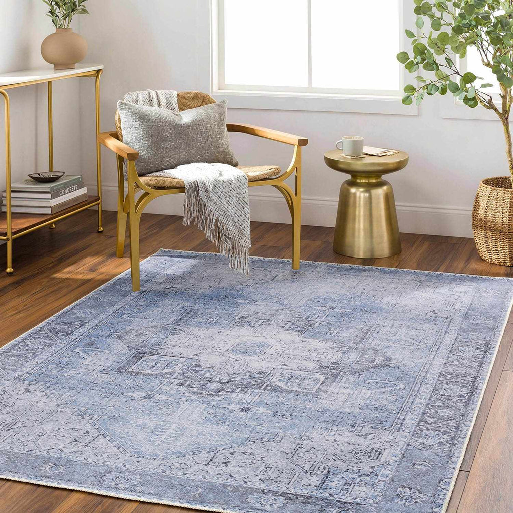 Hauteloom Rosman SAMAROSMA50 Sky Blue Machine Made Chenille-Polyester Rug