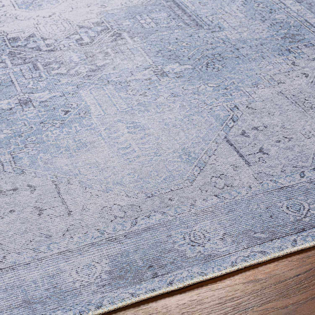 Hauteloom Rosman SAMAROSMA50 Sky Blue Machine Made Chenille-Polyester Rug