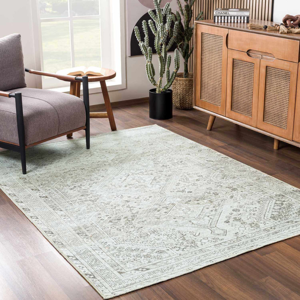 Hauteloom Barny SAMABARNYA1 Off White Machine Made Polyester Rug