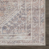 Hauteloom Barny SAMABARNYA4 Ivory Machine Made Polyester Rug