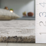 safavieh clearance anatolia an401t ivory rug