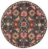 safavieh clearance aspen apn103j teal rug