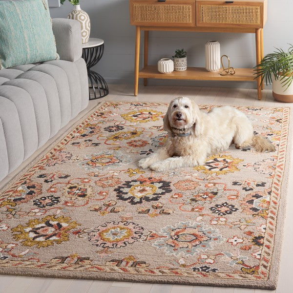 safavieh clearance aspen apn152f grey rug