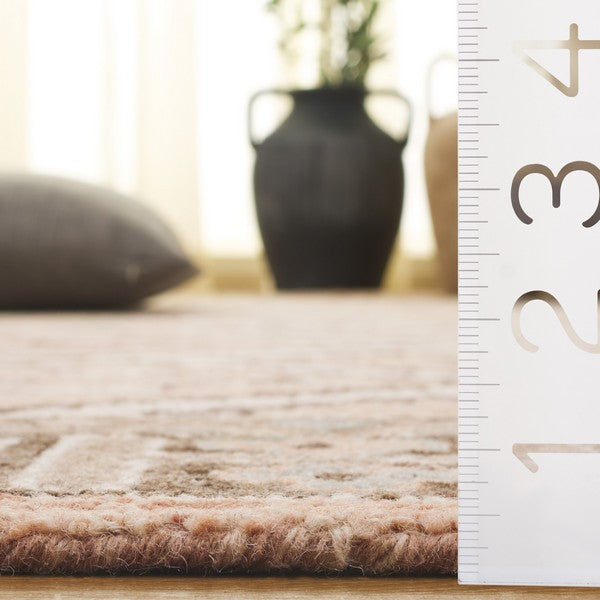 safavieh clearance aspen apn153b beige rug