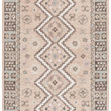 safavieh clearance aspen apn153b beige rug