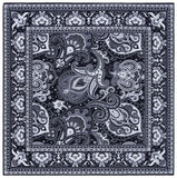 safavieh clearance arizona arz178z black rug