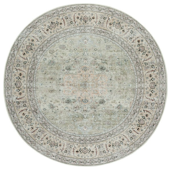 safavieh clearance arizona arz222y light green rug