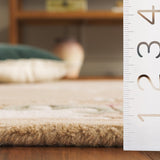safavieh clearance aubusson aub301b beige rug