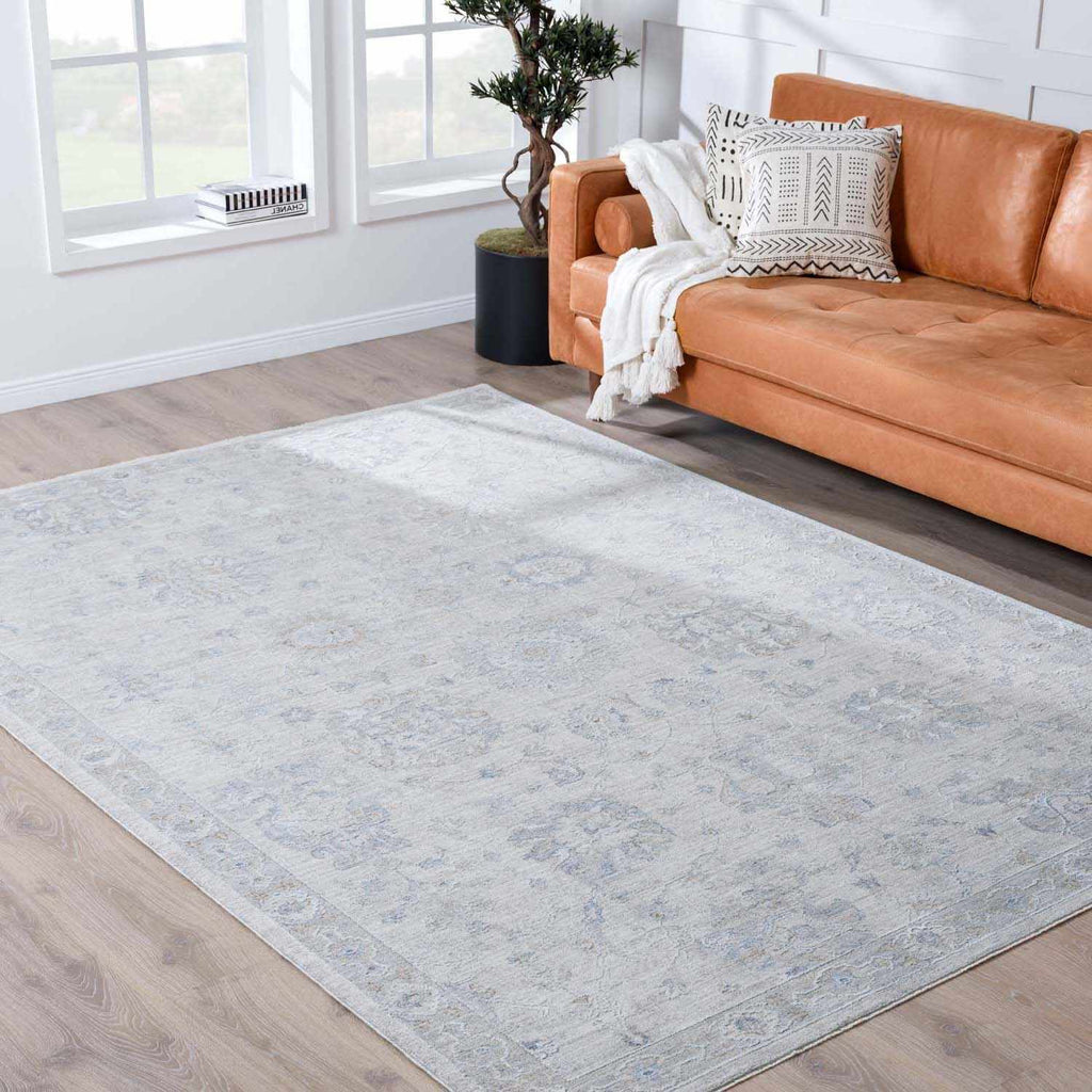 Hauteloom Albuquerque ALBUQ Light Gray Machine Made Polyester Rug
