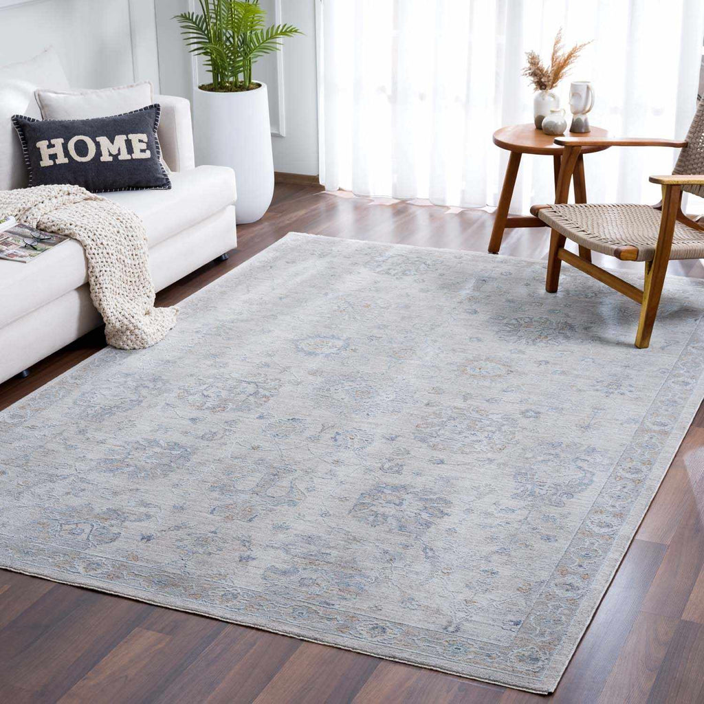 Hauteloom Albuquerque ALBUQ Light Gray Machine Made Polyester Rug