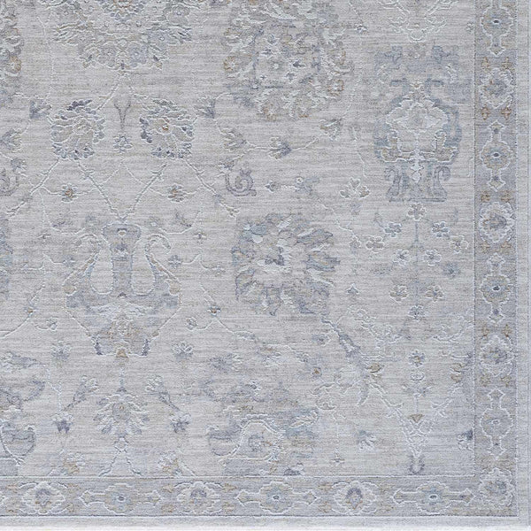Hauteloom Albuquerque ALBUQ Light Gray Machine Made Polyester Rug