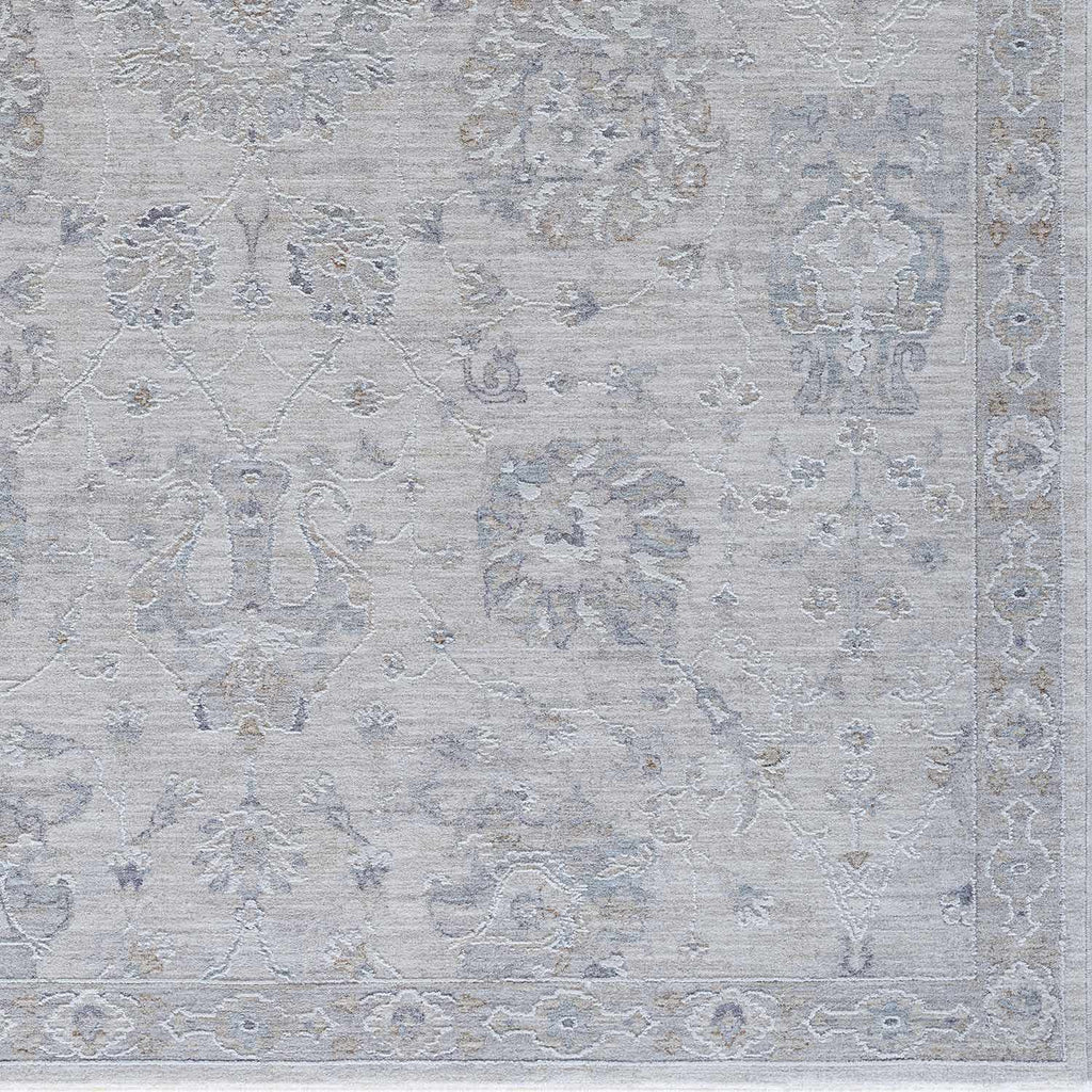 Hauteloom Albuquerque ALBUQ Light Gray Machine Made Polyester Rug