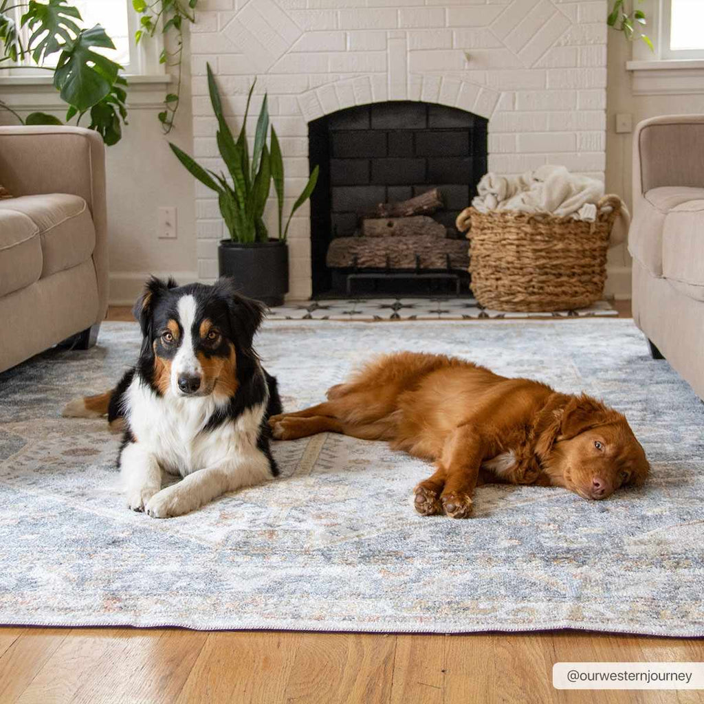 Hauteloom Afya SLLIAFYA890 Navy Machine Made Polyester Rug
