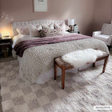 Hauteloom Atira SUSGATIRBA5 Cream Machine Made Polypropylene Rug