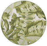 safavieh clearance barbados bar598a ivory rug