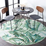 safavieh clearance barbados bar598y green rug