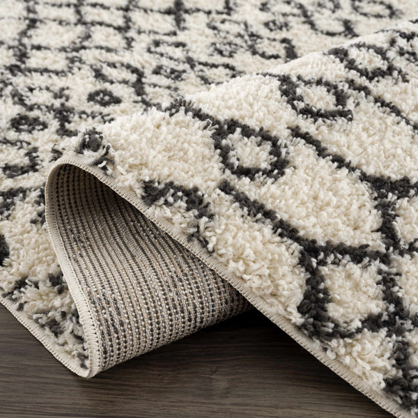 Hauteloom Munich MUNIC Charcoal Machine Made Polypropylene Rug
