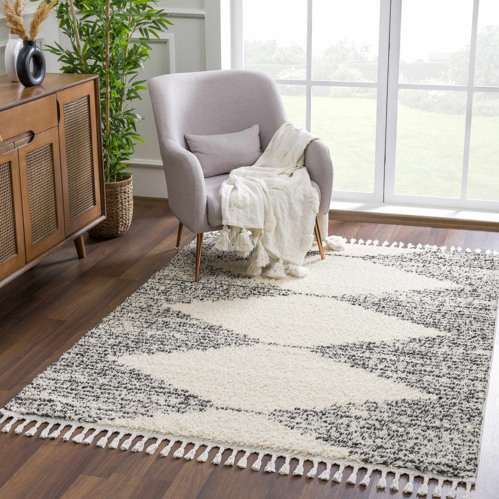 Hauteloom Howth HOWT Gray Machine Made Polypropylene Rug