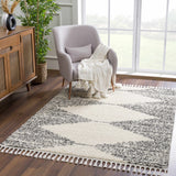 Hauteloom Howth HOWT Gray Machine Made Polypropylene Rug