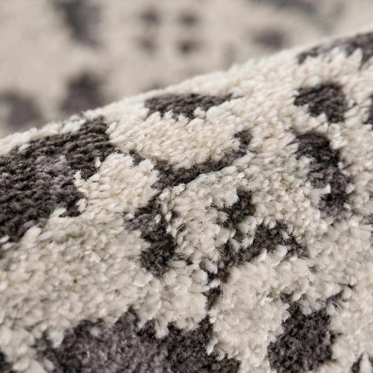 Hauteloom Megargel MEG Charcoal Machine Made Polypropylene Rug
