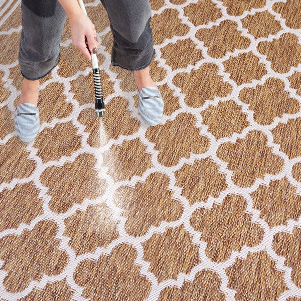 safavieh clearance beach house bhs266t brown rug