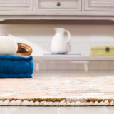 safavieh clearance blossom blm460p rust rug