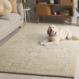 safavieh clearance blossom blm701w sage rug