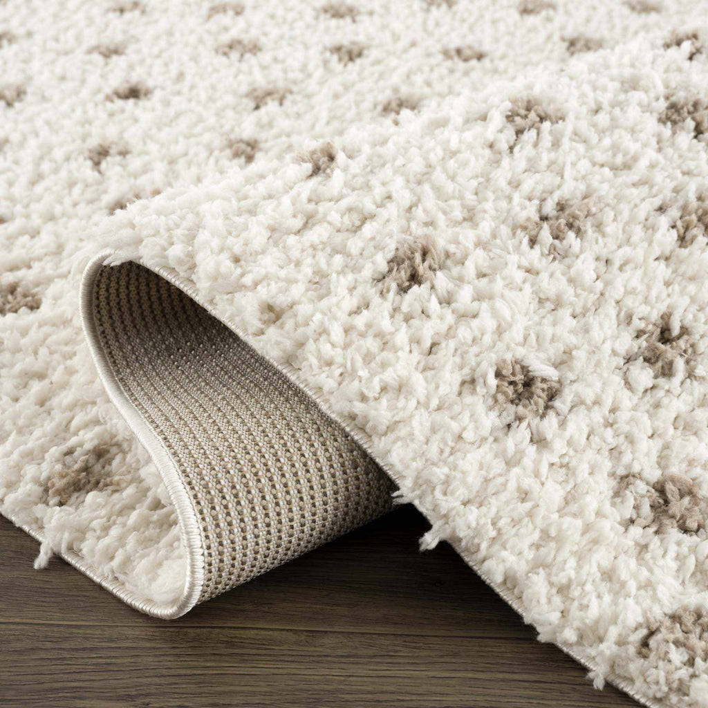 Hauteloom Chaia SBMMFIANAA2 Beige Machine Made Polyester Rug