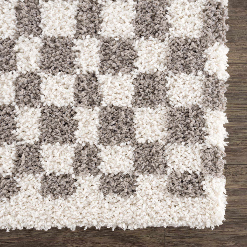 Hauteloom Kieu SBMMIVRITA2 Light Gray Machine Made Polyester Rug