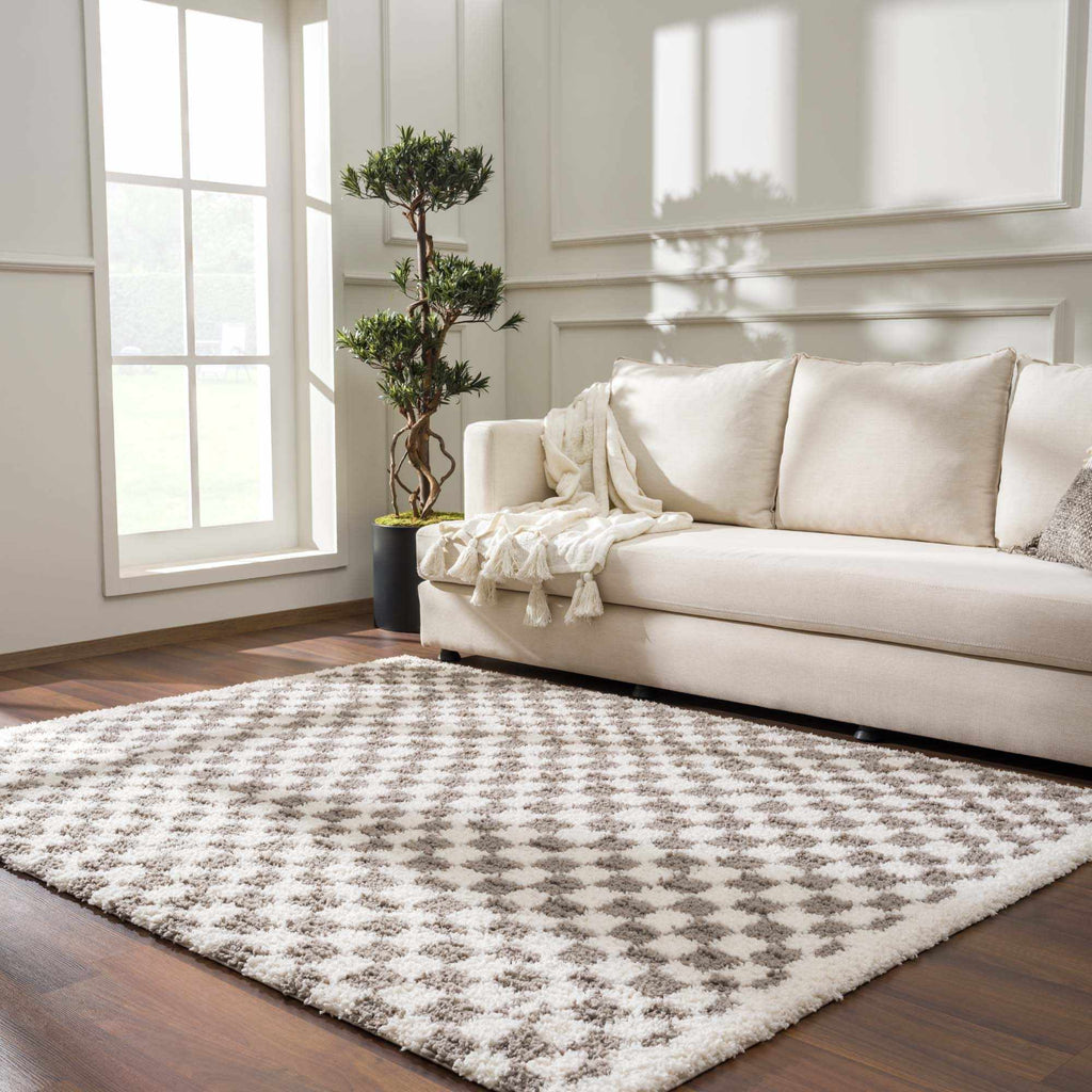 Hauteloom Kieu SBMMIVRITA2 Light Gray Machine Made Polyester Rug