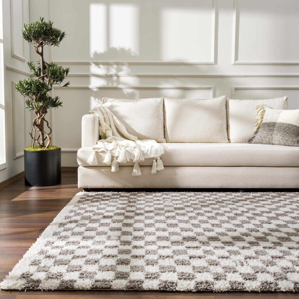 Hauteloom Kieu SBMMIVRITA2 Light Gray Machine Made Polyester Rug