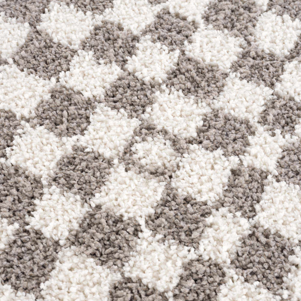 Hauteloom Kieu SBMMIVRITA2 Light Gray Machine Made Polyester Rug