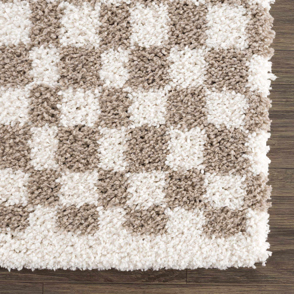 Hauteloom Kieu SBMMIVRITA3 Light Gray Machine Made Polyester Rug