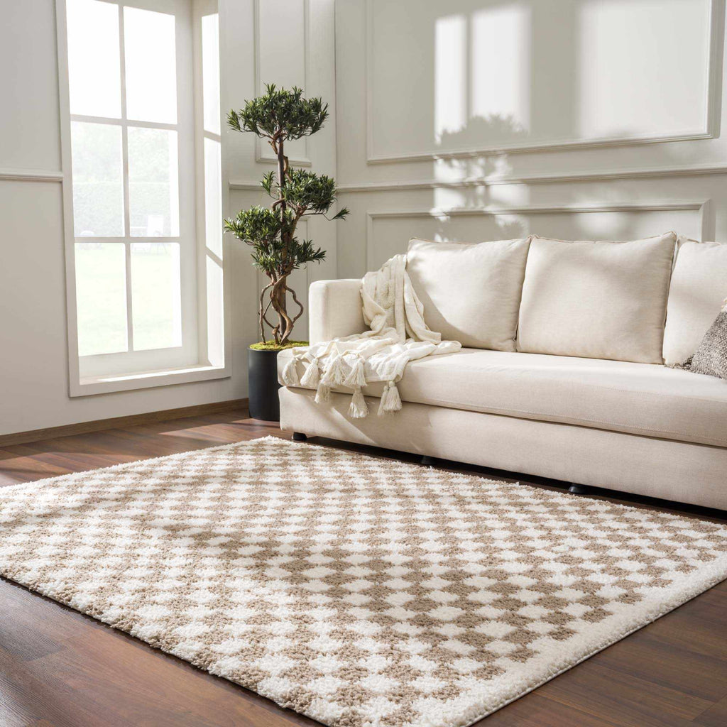 Hauteloom Kieu SBMMIVRITA3 Light Gray Machine Made Polyester Rug
