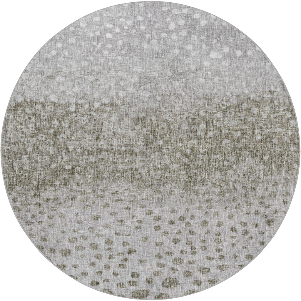 dalyn boca bo12 taupe rug