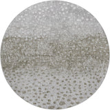 dalyn boca bo12 taupe rug