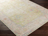 Hauteloom Bozkurt BOZK Light Brown Machine Made Polyester Rug