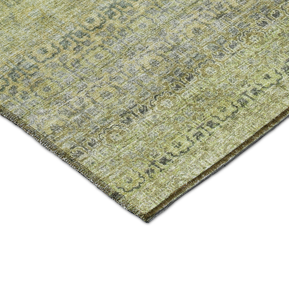 dalyn burano bu12 aloe rug