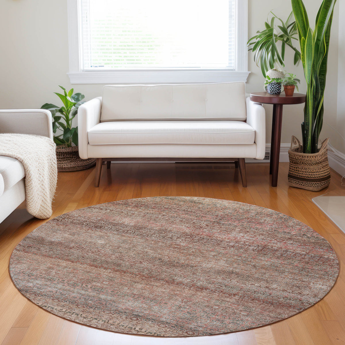 dalyn burano bu12 coral rug