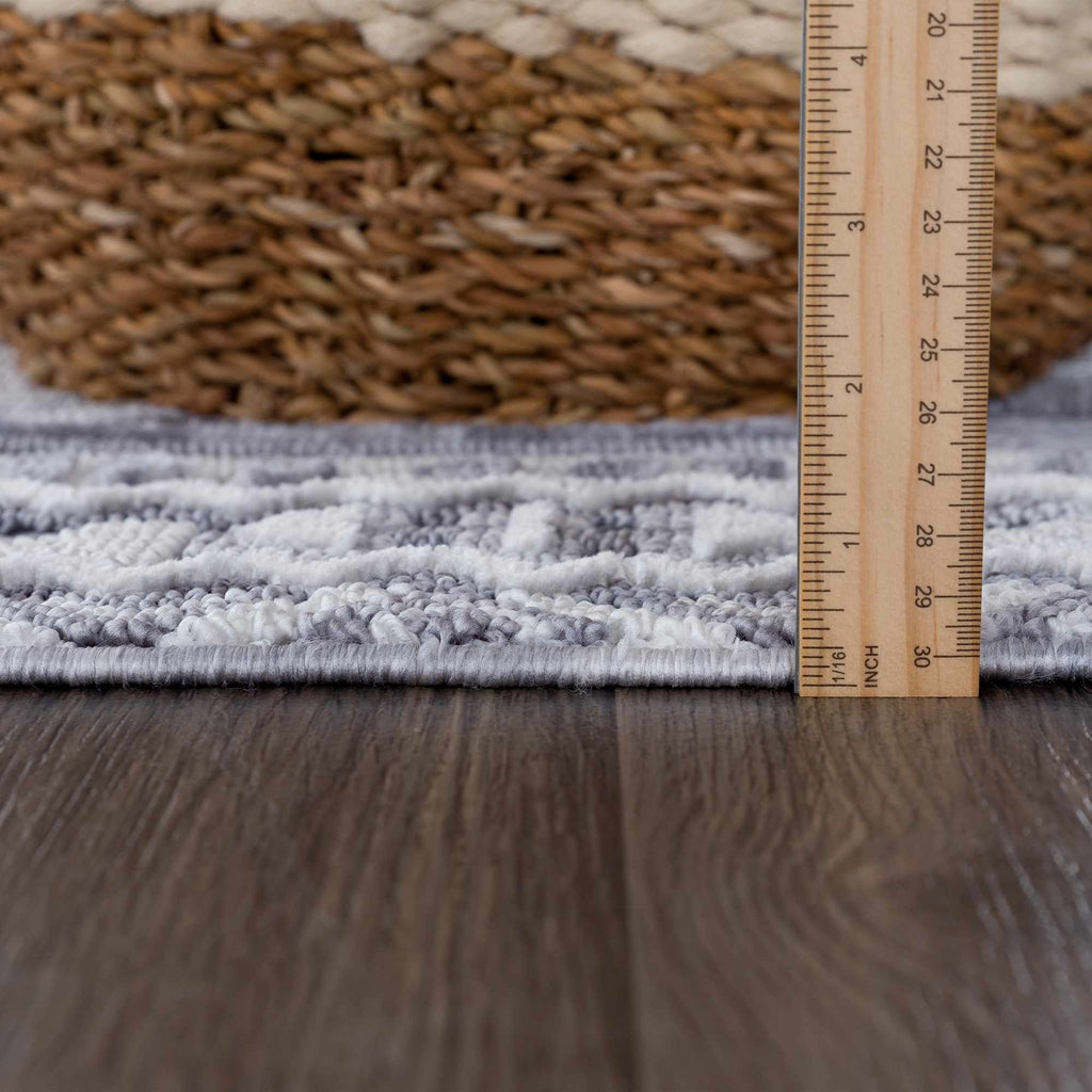 Hauteloom Limited Edition ALYA01 Gray Machine Made Polyester Rug