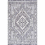 Hauteloom Limited Edition ALYA01 Gray Machine Made Polyester Rug