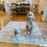 Hauteloom Beck HCAHBECKFA1 Brown Machine Made Polyester Rug