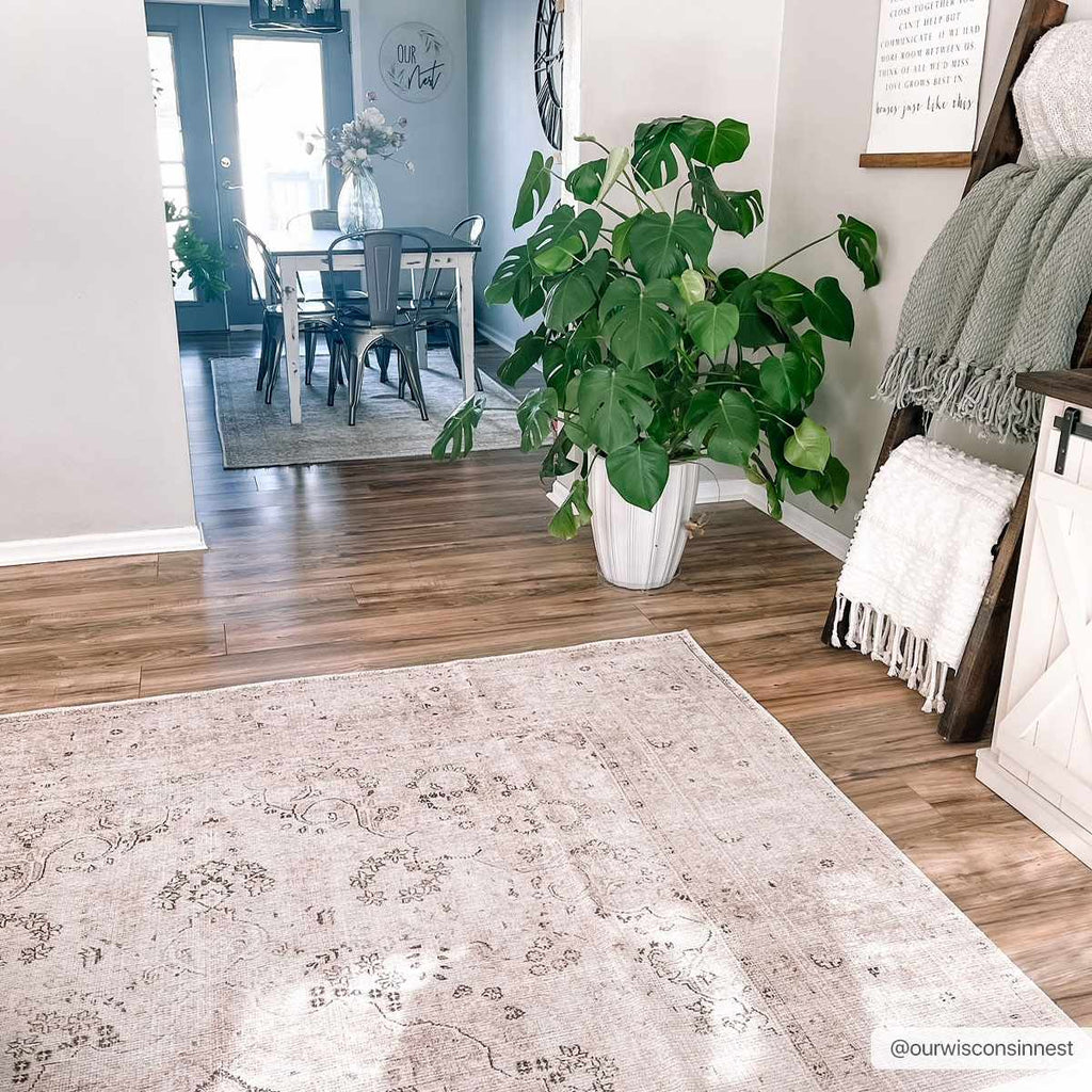 Hauteloom Bethany BET Beige Machine Made Chenille-Polyester Rug