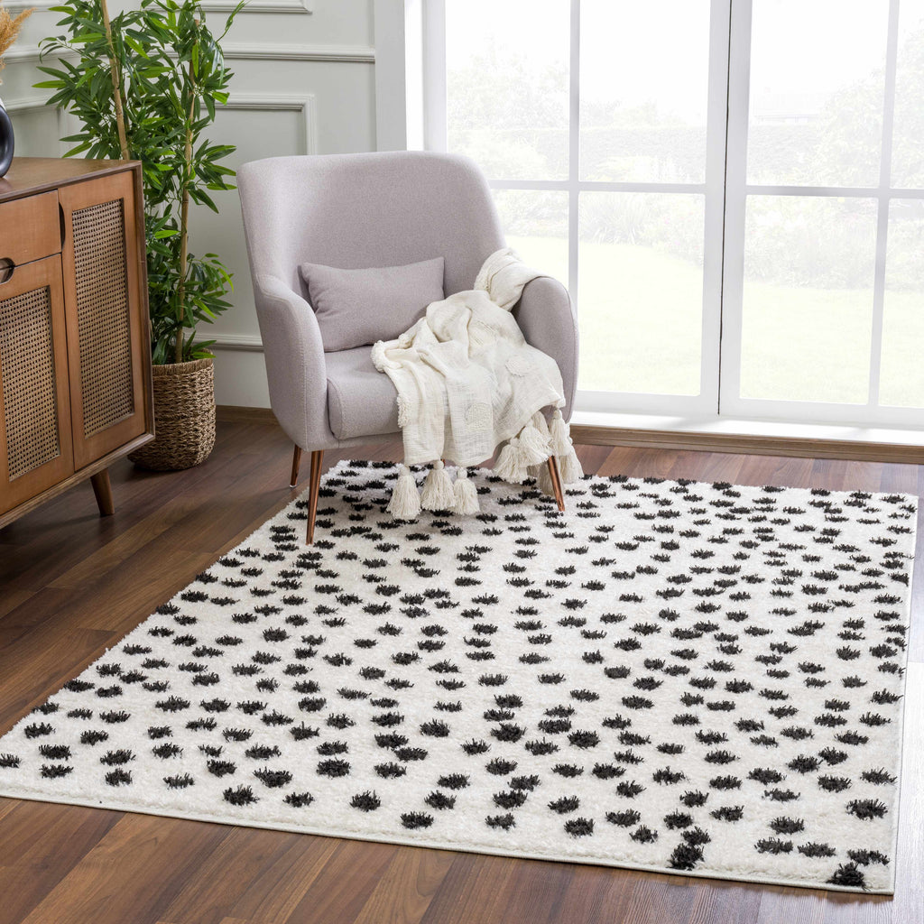 Hauteloom Cansu HRDOCANSAA1 Black Machine Made Polyester Rug