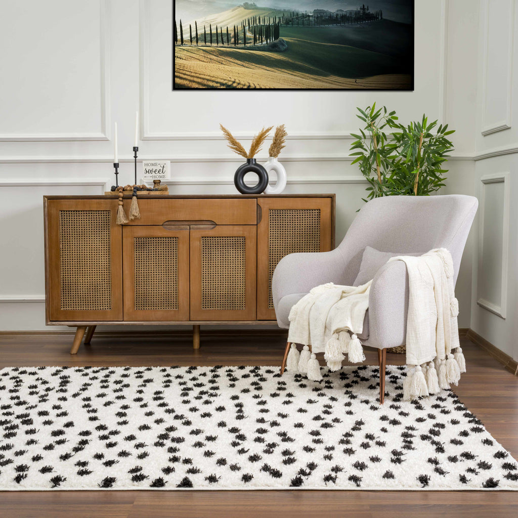 Hauteloom Cansu HRDOCANSAA1 Black Machine Made Polyester Rug