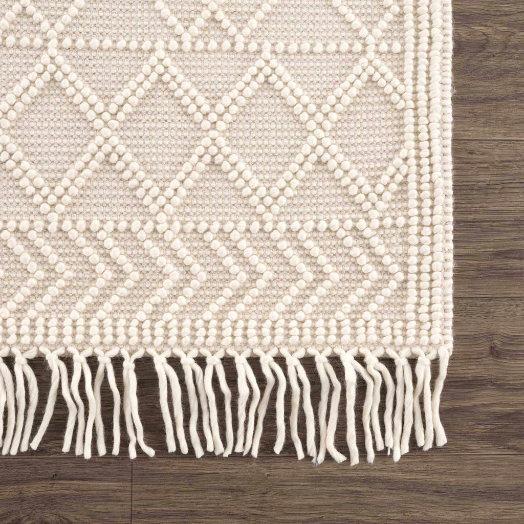 Hauteloom Leonardtown LNRD Ivory Woven/Flatwoven Cotton Rug