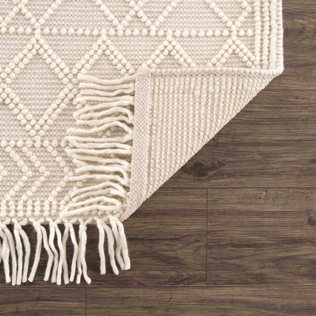 Hauteloom Leonardtown LNRD Ivory Woven/Flatwoven Cotton Rug